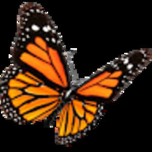 Meet your Posher, Ilob